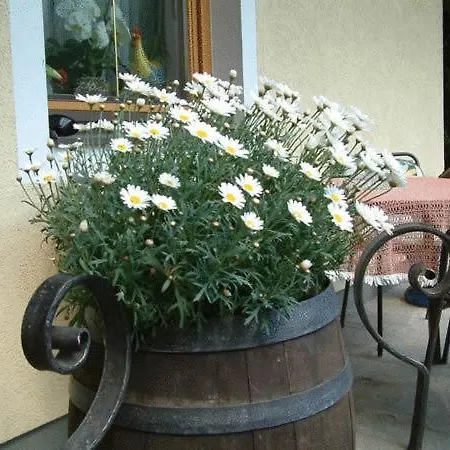 Szálloda Liesertalerhof