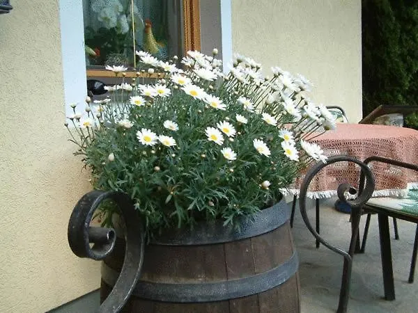 ホテル Liesertalerhof 3*